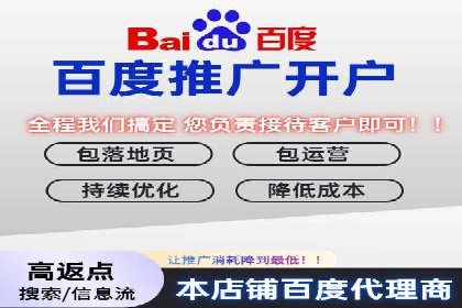 SEM服务公司助力品牌崛起案例